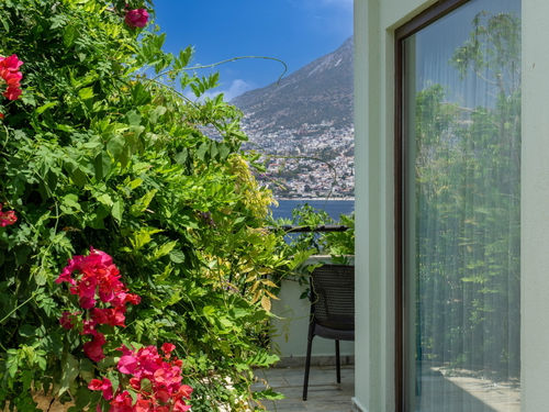 gece - Kasım
| Antalya Kalkan Bölgesinde Jakuzili ve Lüks Süitli Korunaklı Havuzlu Tatil Deneyimi